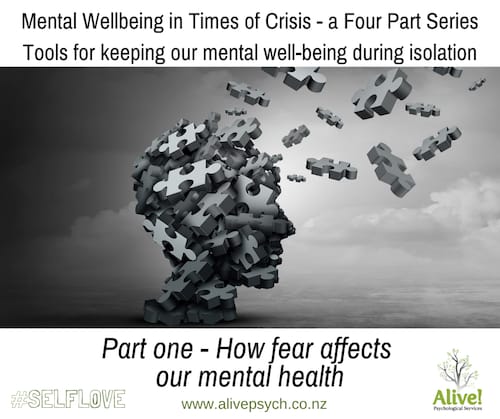 Part One: How fear affects our mental health ~ Mental Wellbeing in Times of Crisis